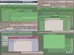 Big collage of all 3 looks programmed into this release