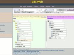 Main editor. Edit site map, work with files.