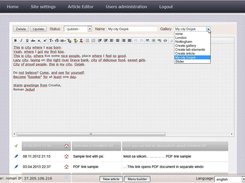 Content (article) editor