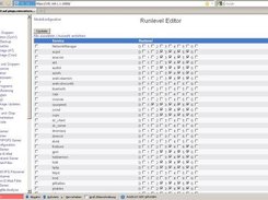 Screenshot Runlevel Editor