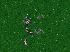 Gameplay 1