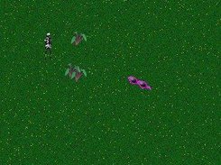 Gameplay 2