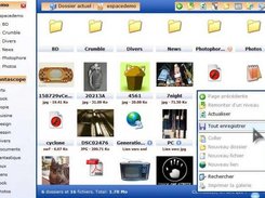 Preview of 'Windows'  style and context menu