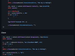 websocket for Go Screenshot 1