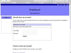 Log-in screen