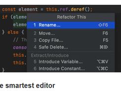 WebStorm Screenshot 1