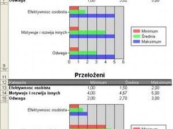 Sample Exce lReport in polish