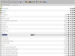 4. Virtual FTP