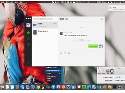WeChatTweak-macOS Screenshot 1
