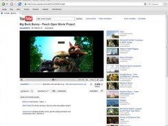 Youtube using the Built-In-Flashplayer