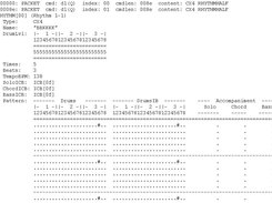 wersidatencassette-0.9: CX4 RHYTHM example (Note: shown data need not be realistic)