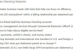 Wells Fargo Business Checking Screenshot 1