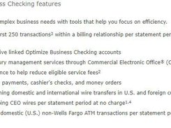 Wells Fargo Business Checking Screenshot 1