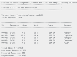 Wfuzz Screenshot 1