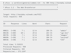 Wfuzz Screenshot 1