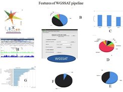 WGSSAT-NBFGR Features