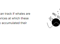 Whalemap Screenshot 3