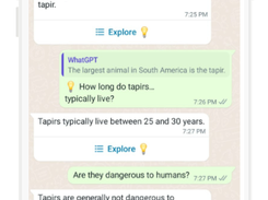 WhatGPT Screenshot 2