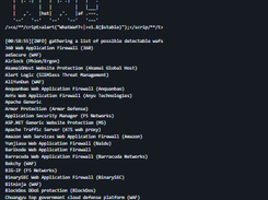 WhatWaf? Screenshot 1