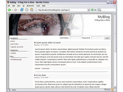wB 1.0 (default theme)
