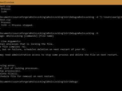 Example Runtime Screenshot