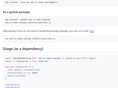 why-is-node-running Screenshot 1