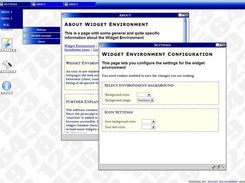 General Widget Environment functionality