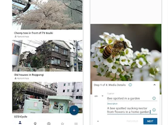 Wikimedia Commons Android app Screenshot 1