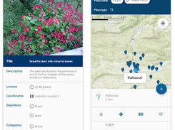 Wikimedia Commons Android app Screenshot 2