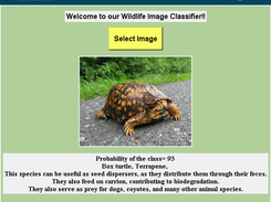 Wildlife Classifier Screenshot 4