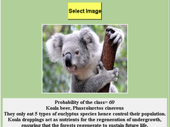 Wildlife Classifier Screenshot 2