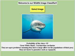 Wildlife Classifier Screenshot 3