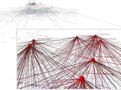 IEEE Infovis citation network... 2004 competition winner