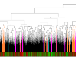 Dendrogram of HMEC-HCC1954 Comparison with Colors for Three Default Purity Levels (orange=0.75, magenta=0.85, cyan=0.95)