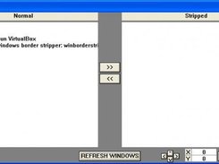 Program Window