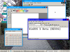 WinDOS X Screenshot 2