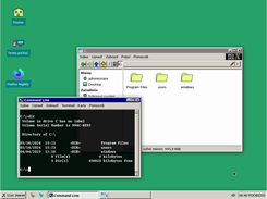 WinDOS X Screenshot 3