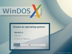 WinDOS X Screenshot 4