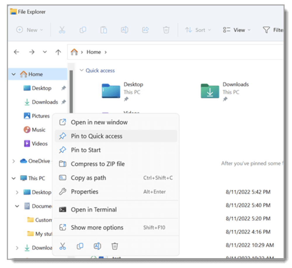 Windows File Explorer Screenshot 1