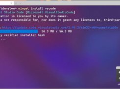 Windows Package Manager Client Screenshot 2