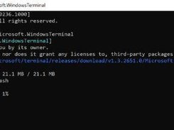 Windows Package Manager (WinGet) Screenshot 3