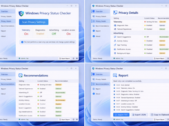Overview — Privacy and telemetry status summary  Privacy Details — Detailed privacy settings  Recommendations — Read-only privacy guidance  Report — Export privacy status