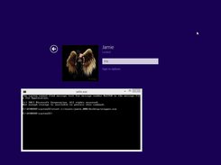 how it looks on the login screen