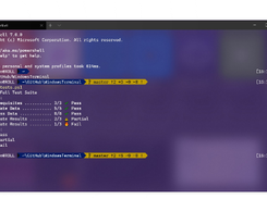 Windows Terminal Screenshot 1