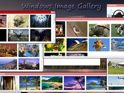Windows Image Gallery Screenshot 1