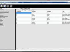 Windows SQlite Screenshot 1