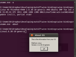 Examples of uname output under wine