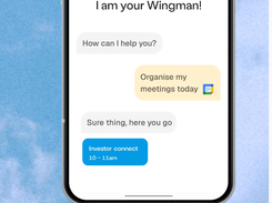 Wingman Screenshot 1