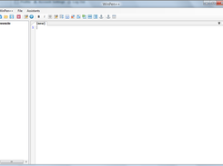 Main editor window