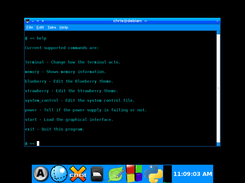 Winspee showing the interpreter. (/bin/helper)